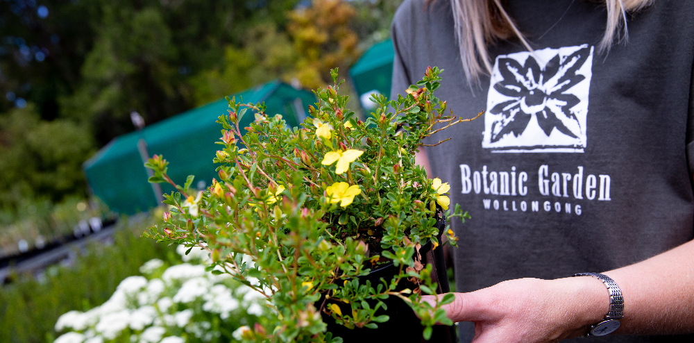 Wollongong Botanic Garden Greenplan Nursery