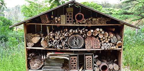 Insect Hotel